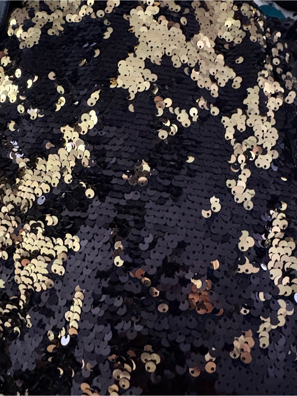 Black & Gold Sequin Pants with Belt - Picture 5 of 6